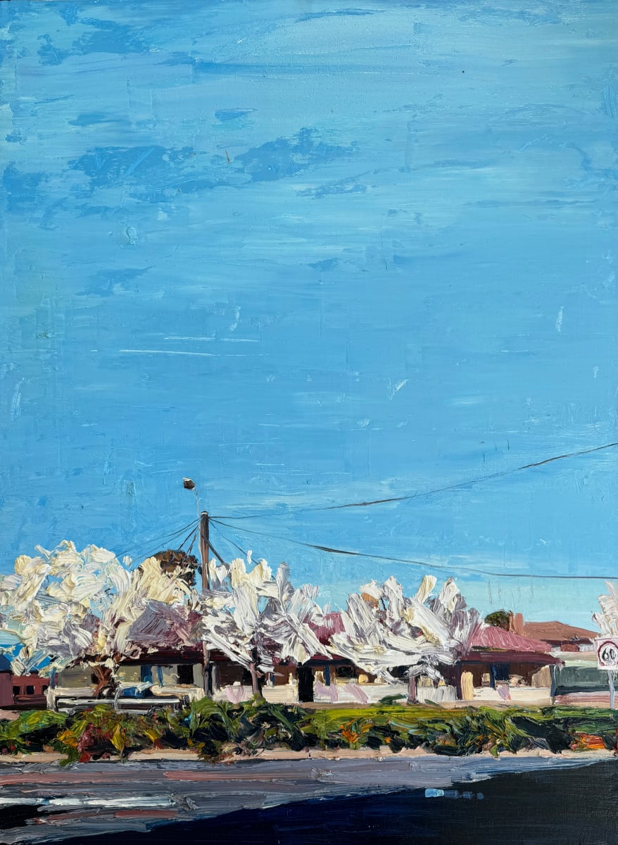 Morning Blossoms in the Afternoon on Durham Street by James Lyle, Image 6.