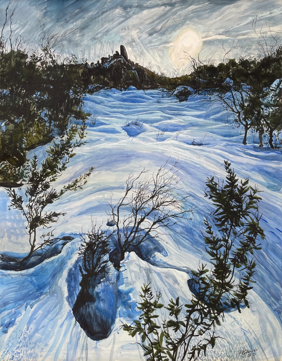 Glory in Blue-Grey Light by Phillip Edwards, Image 7.