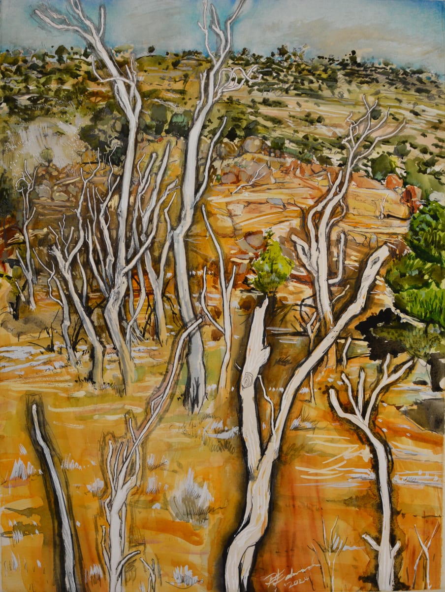 Dry Country (framed) by Phillip Edwards, Image 7.
