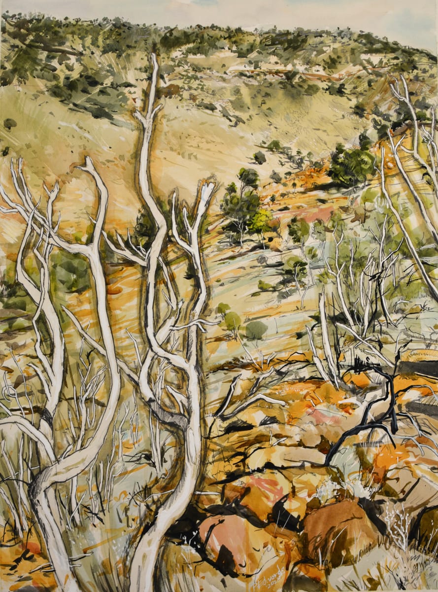 Dry Country 2 (framed) by Phillip Edwards, Image 6.
