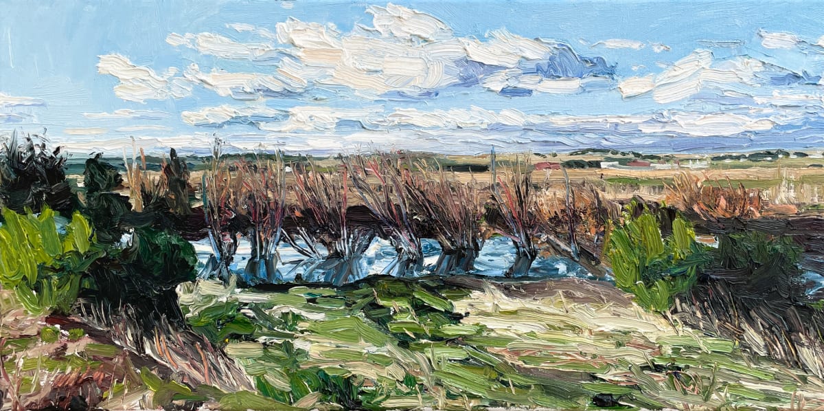 Sun_after_flooding_rain_yyuzrr_2 