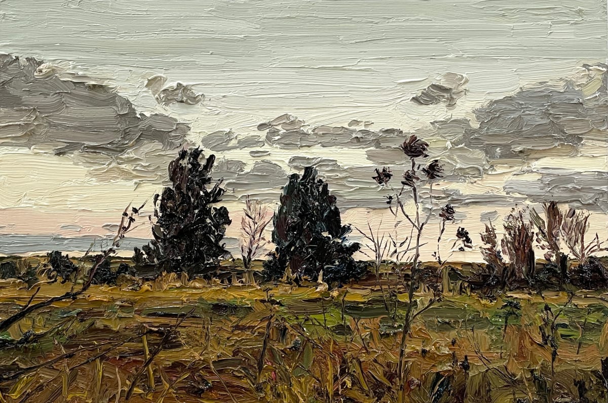 Swampy grasses and trees late in the day by James Lyle, Image 4.
