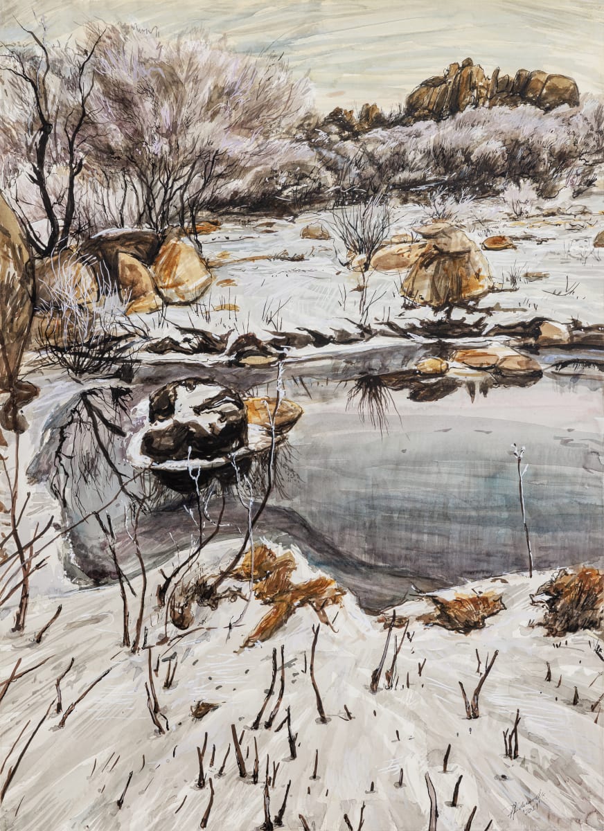 The mystery of fire and ice by Phillip Edwards, Image 8.