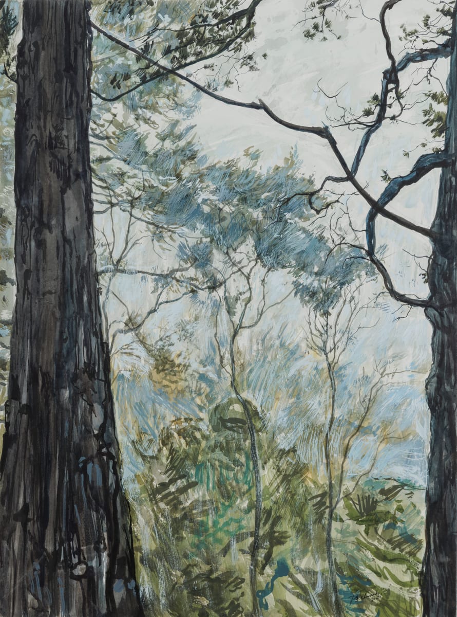 Tree Mystification by Phillip Edwards, Image 7.