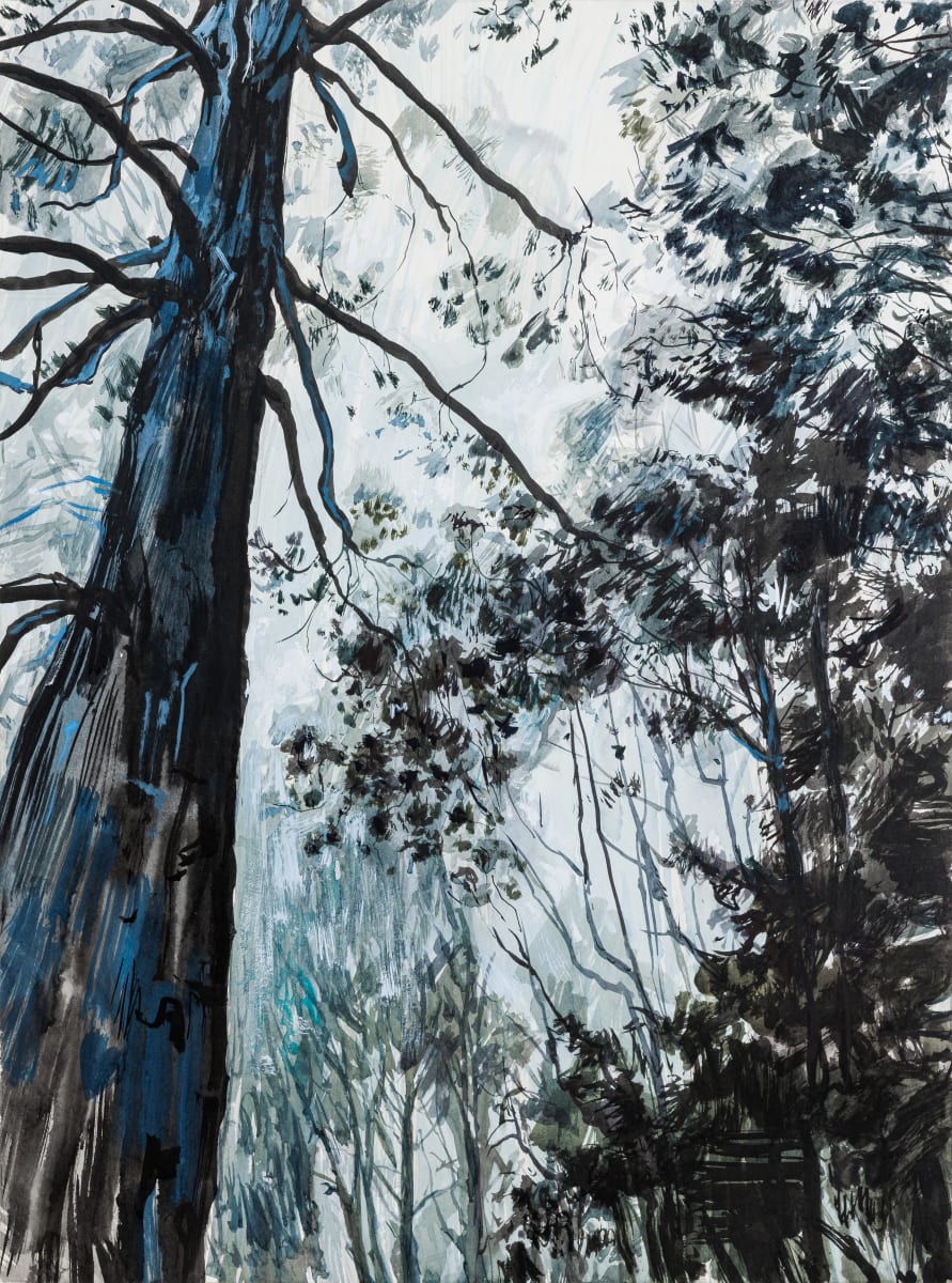 Tree mystification ll by Phillip Edwards, Image 9.