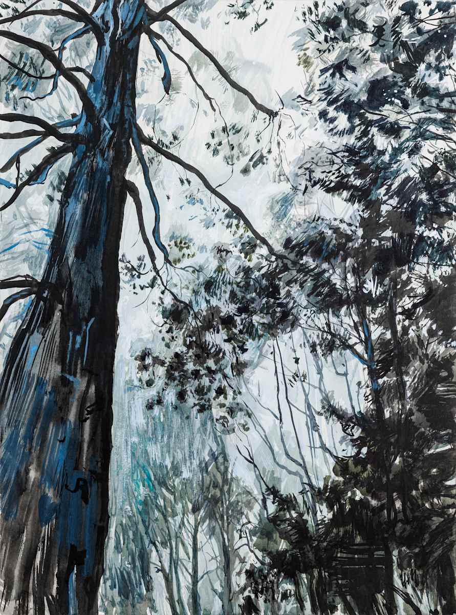 Tree mystification ll by Phillip Edwards, Image 9.