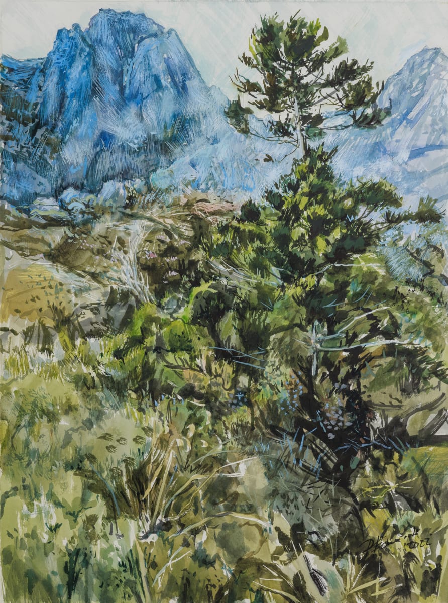 West from Lake Cygnes by Phillip Edwards 