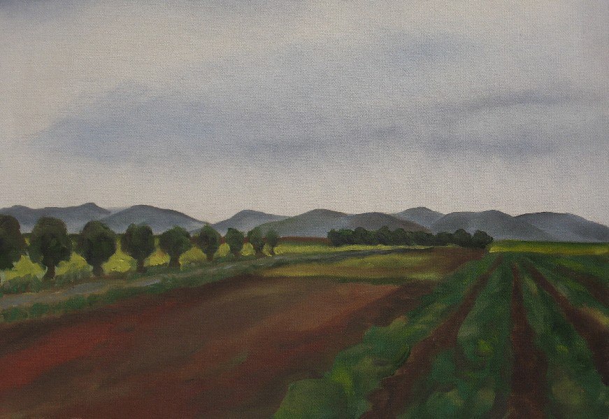 Yolo Farmland with Hills by Roger Ewers 