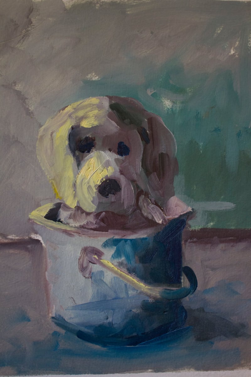 Puppy in Pail by Roger Ewers 
