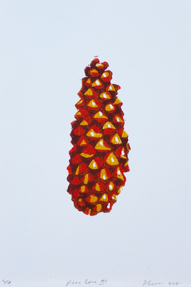 Pine Cone by Roger Ewers 