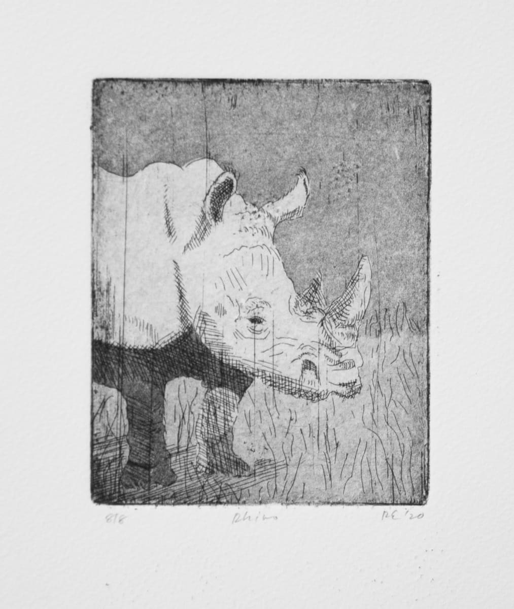 Rhinoceros by Roger Ewers 