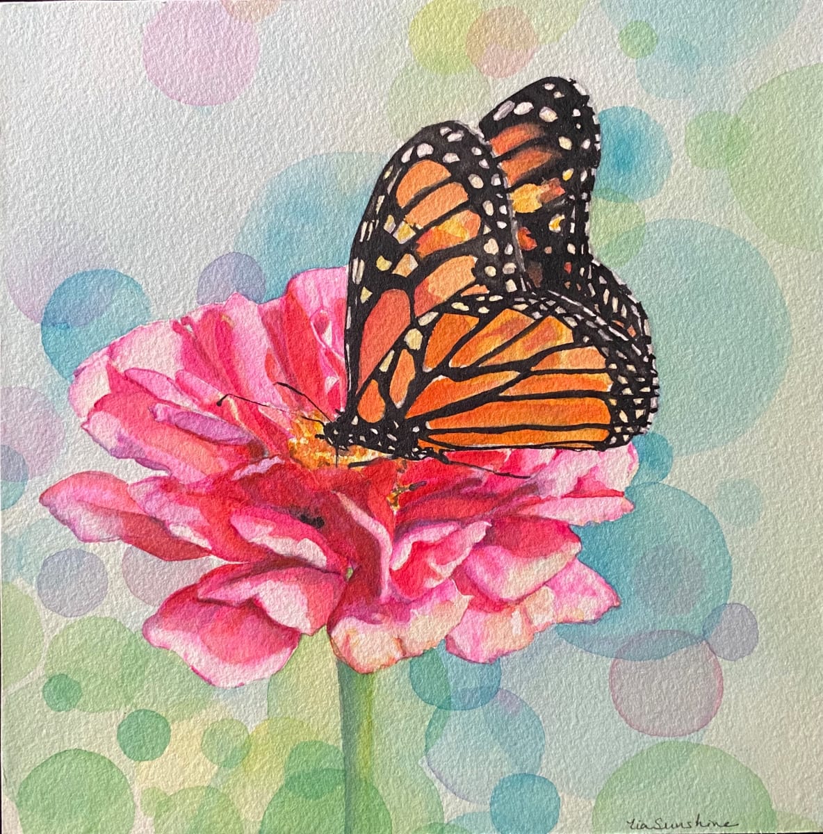 Butterfly Magic 