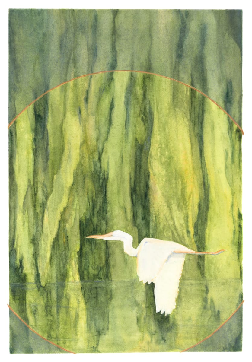 White Heron & Willows by Tia Sunshine Art 