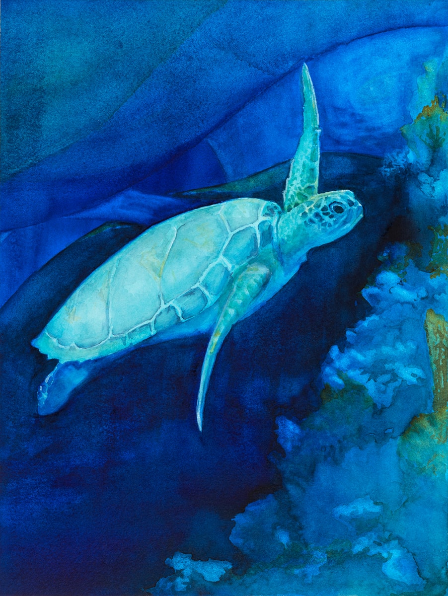 Turtle by Tia Sunshine Art 