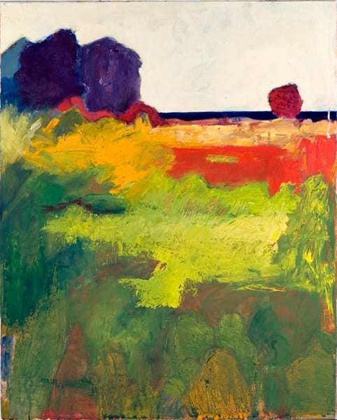 Red Meadow by Matt Carrano 