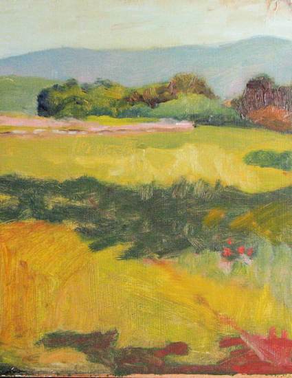 Afternoon Shadow, Image 14.