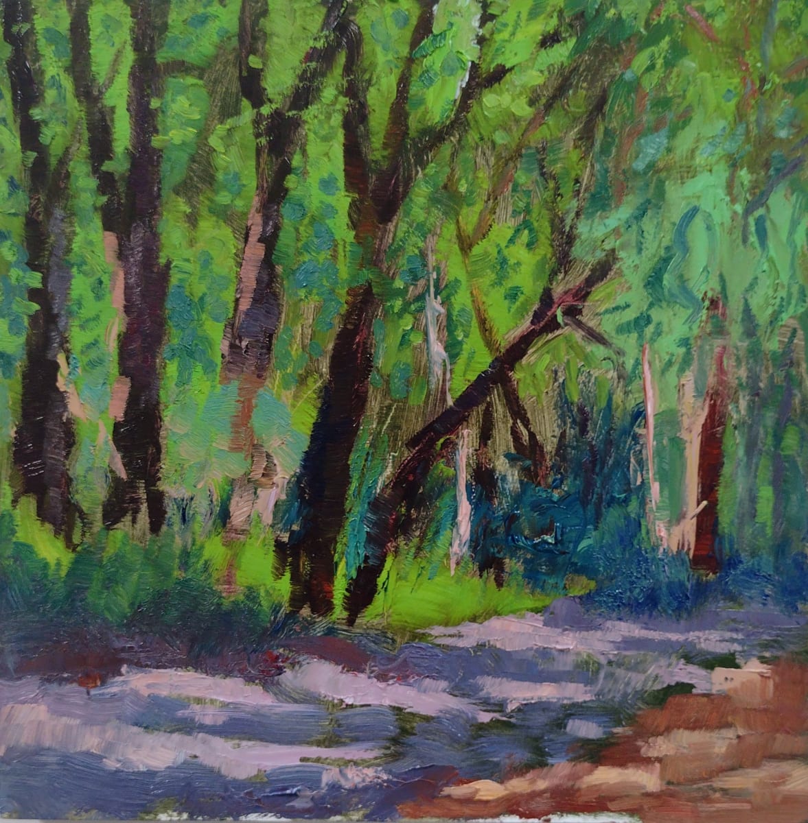 A Walk in the Woods by Matt Carrano 