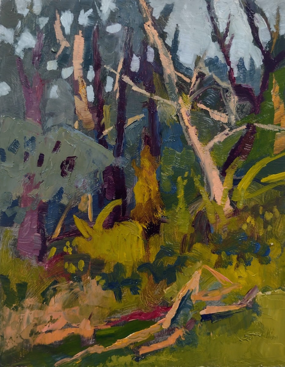 Trees in Morning Sun by Matt Carrano 