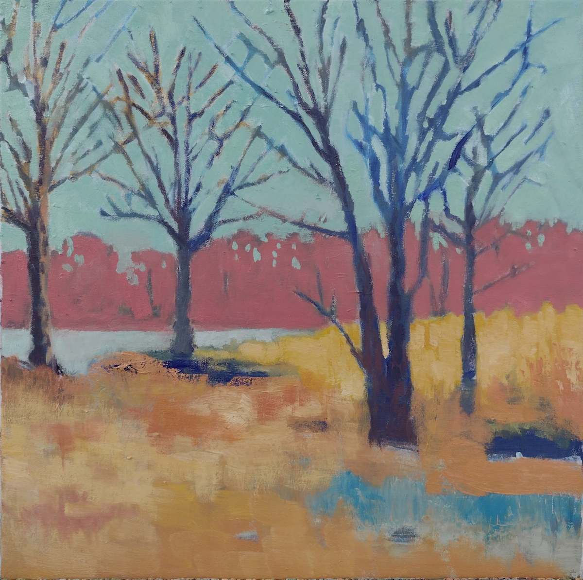 January Trees by Matt Carrano 