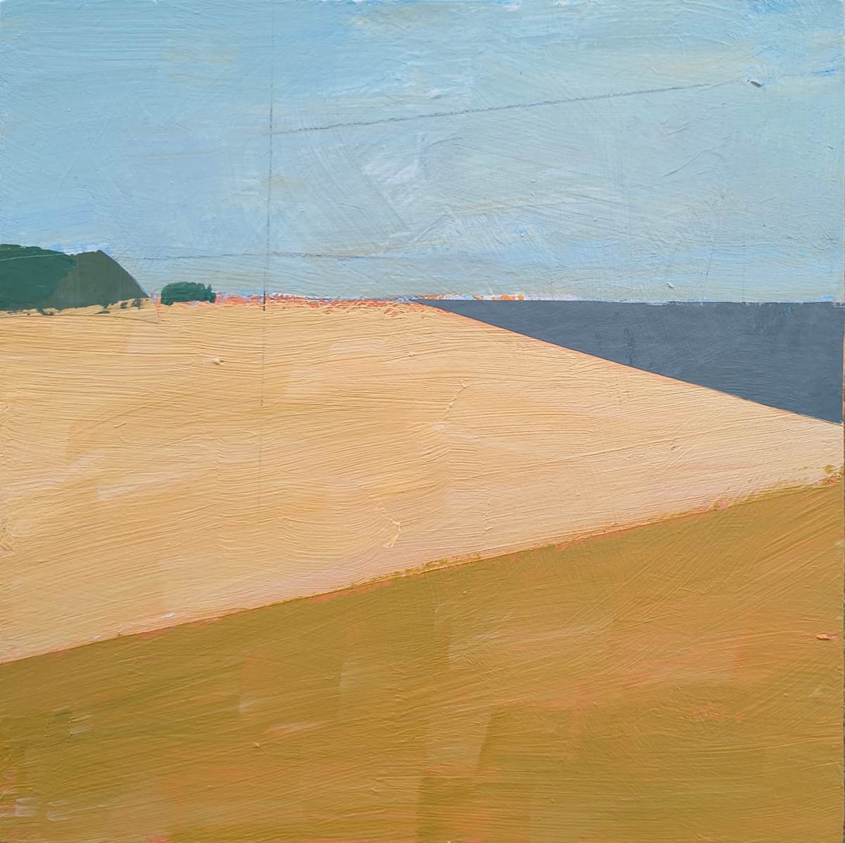 Sun or Shade? by Matt Carrano, Image 1.