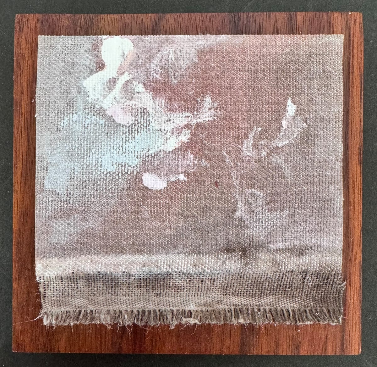 Nube Marrón by Constance Kilgore 