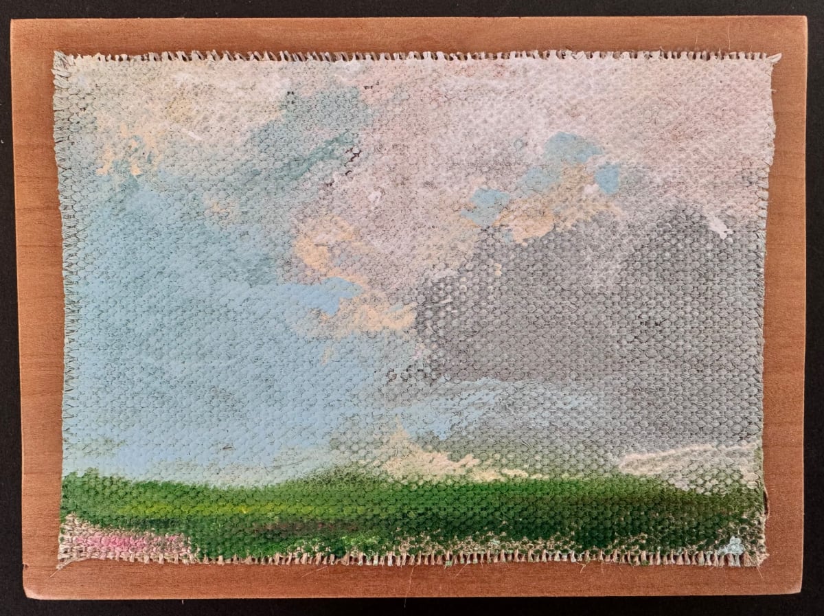 A Patch of Pink by Constance Kilgore 