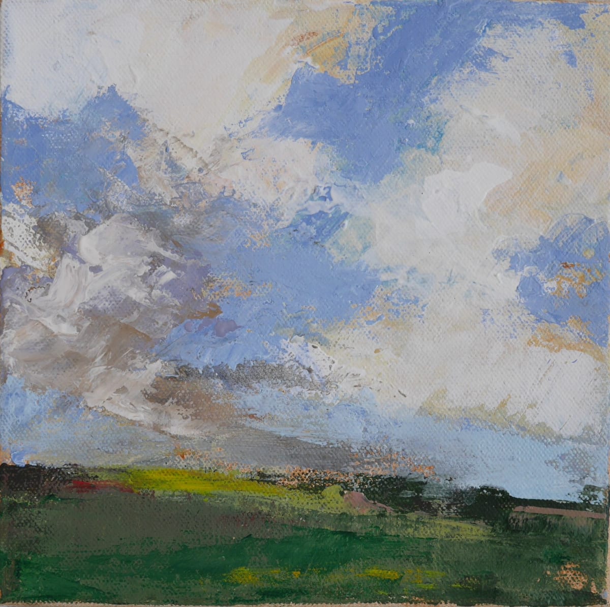 Spring Field by Constance Kilgore 