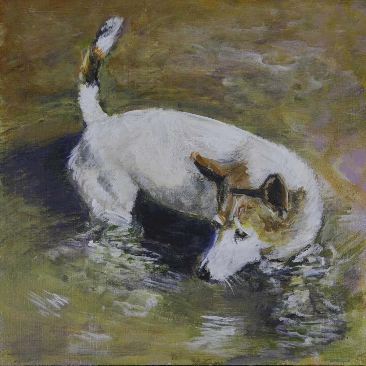 Of interest by Nanci Hersh 