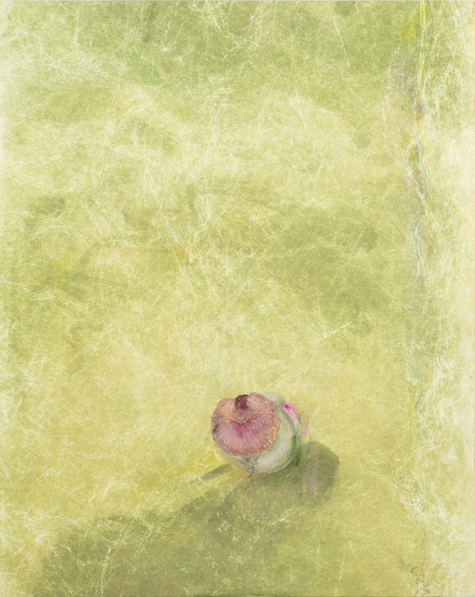 Ways of Being 1 by Nanci Hersh  Image: Ways of Being 1
