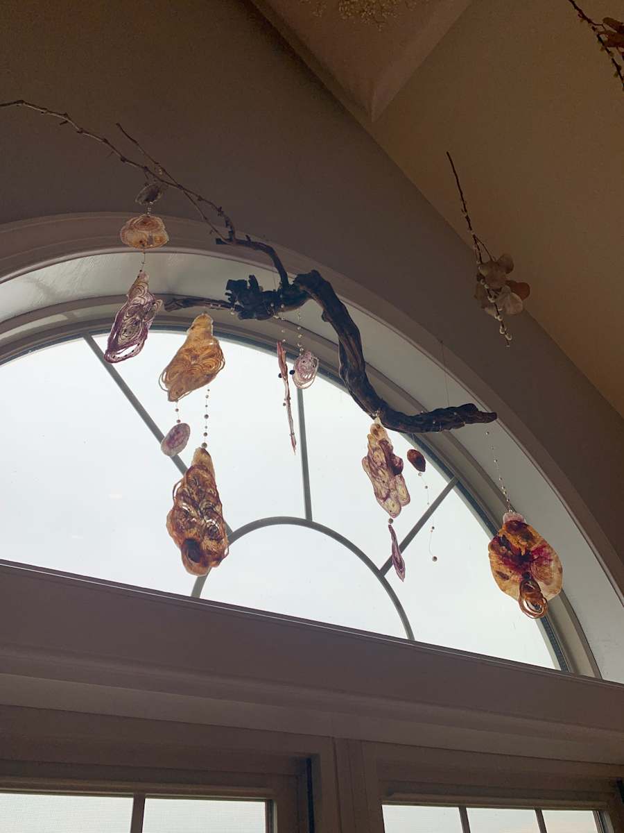 Grapevine, too. by Nanci Hersh, Image 2.