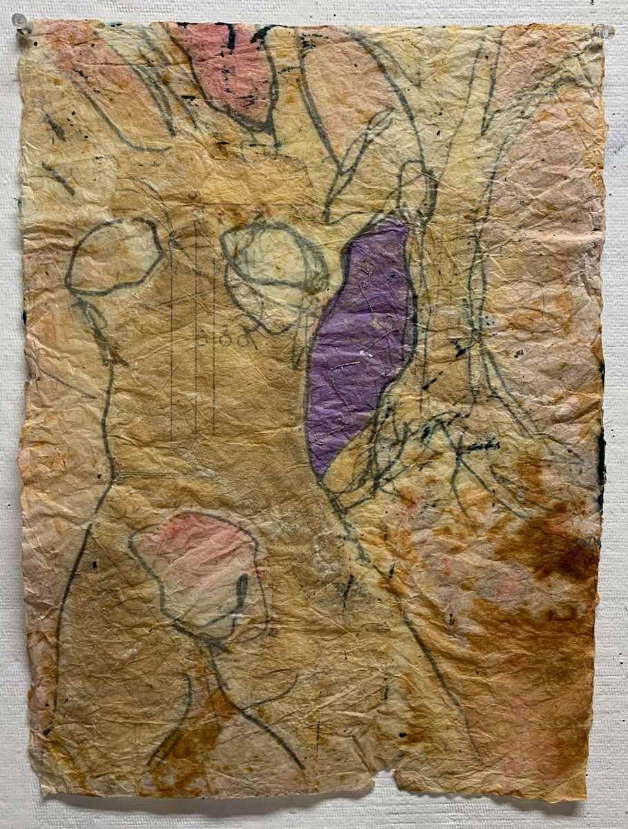 Untitled (tree trunk), Image 1.