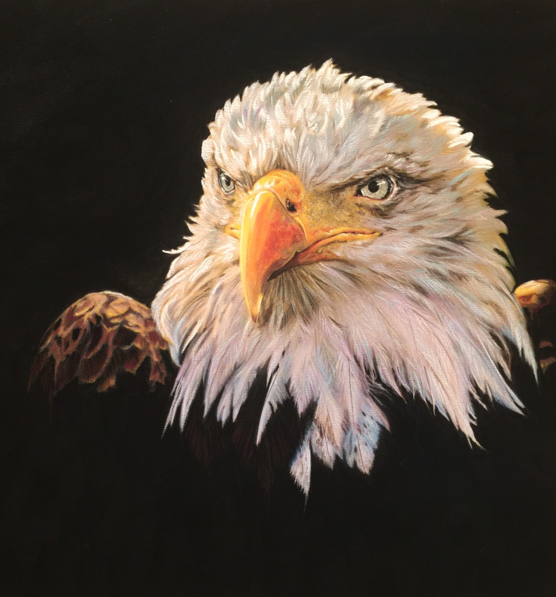 Vigilance by Jeffery Spicer 