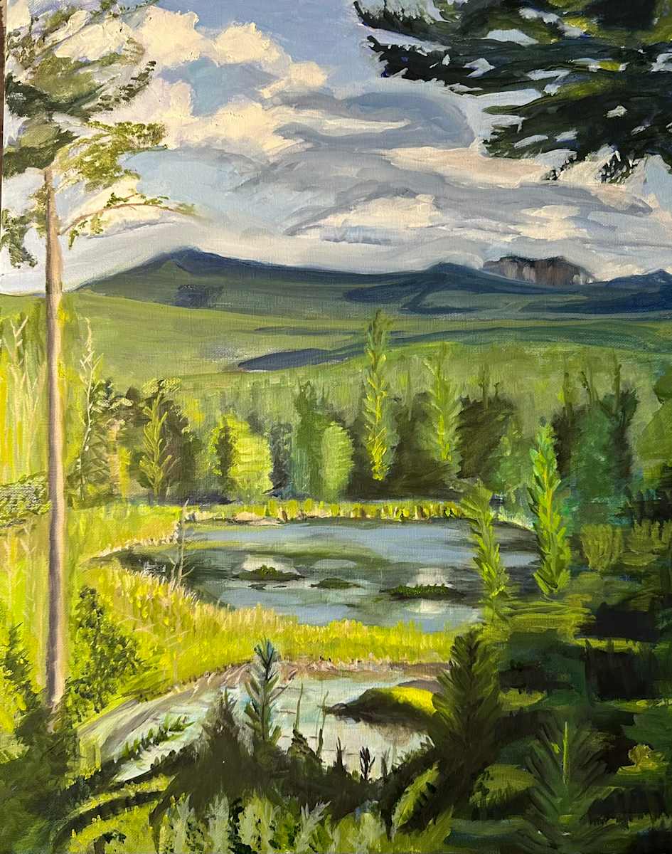 Adirondacks, toward Gothics by Lisa N. Peters  Image: Adirondacks, toward Gothics 