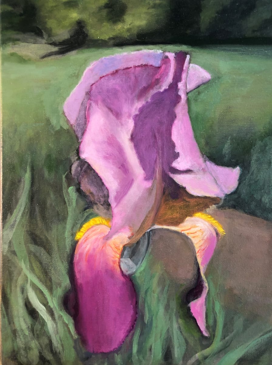 May Iris  Image: May Iris, 2020