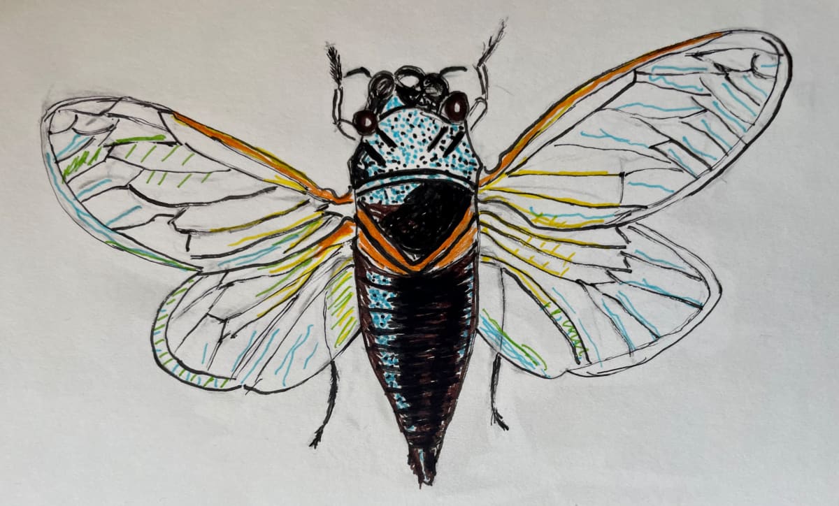La Mosca by Diego Herrera, Image 1.