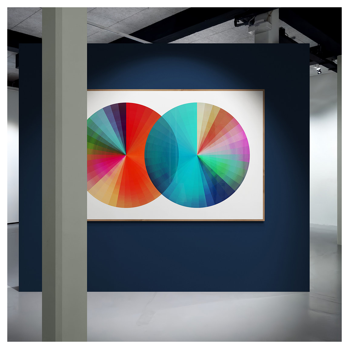 Spect by Kelly Hart  Image: Spect, 60" x 40" (installed view) 
