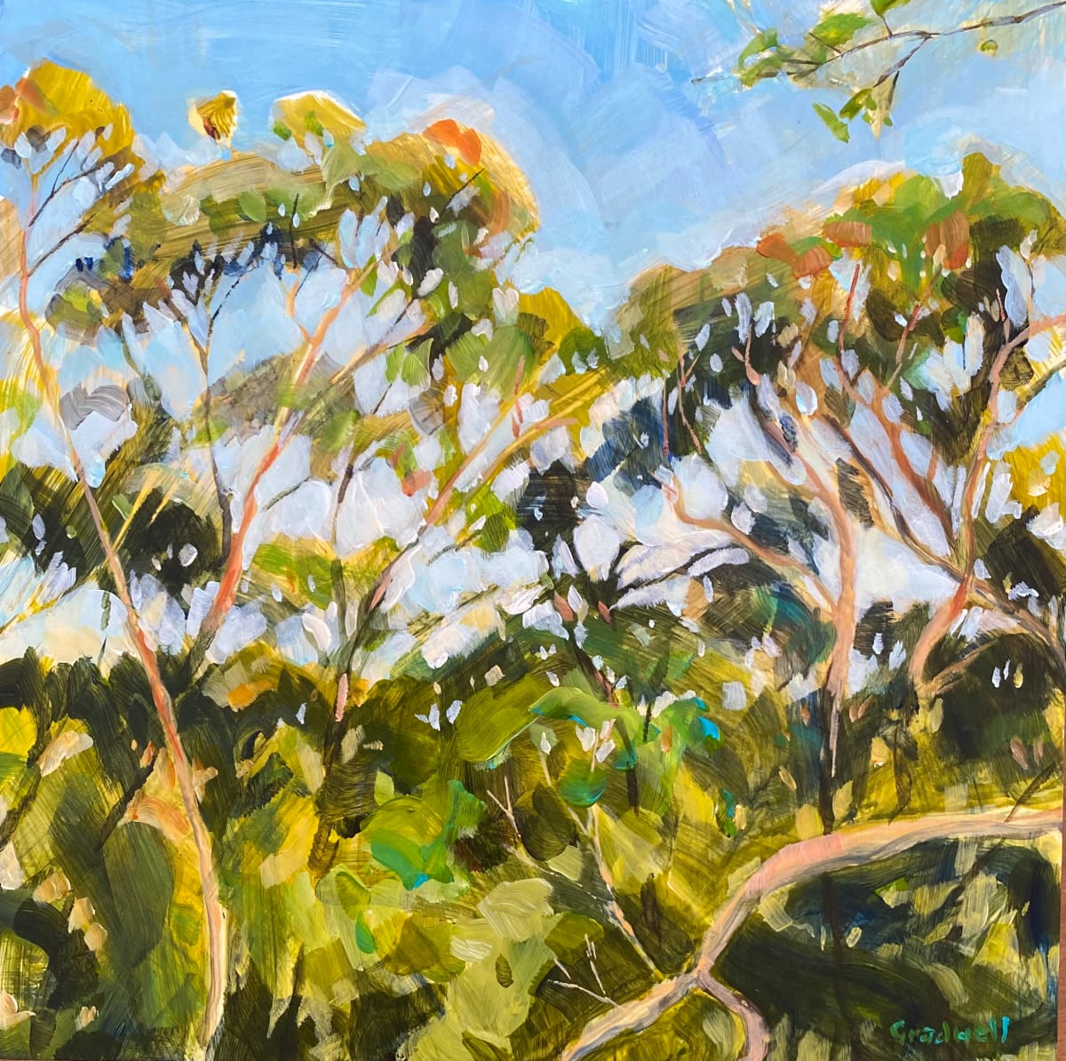 Lost in the Treetops, Image 3.