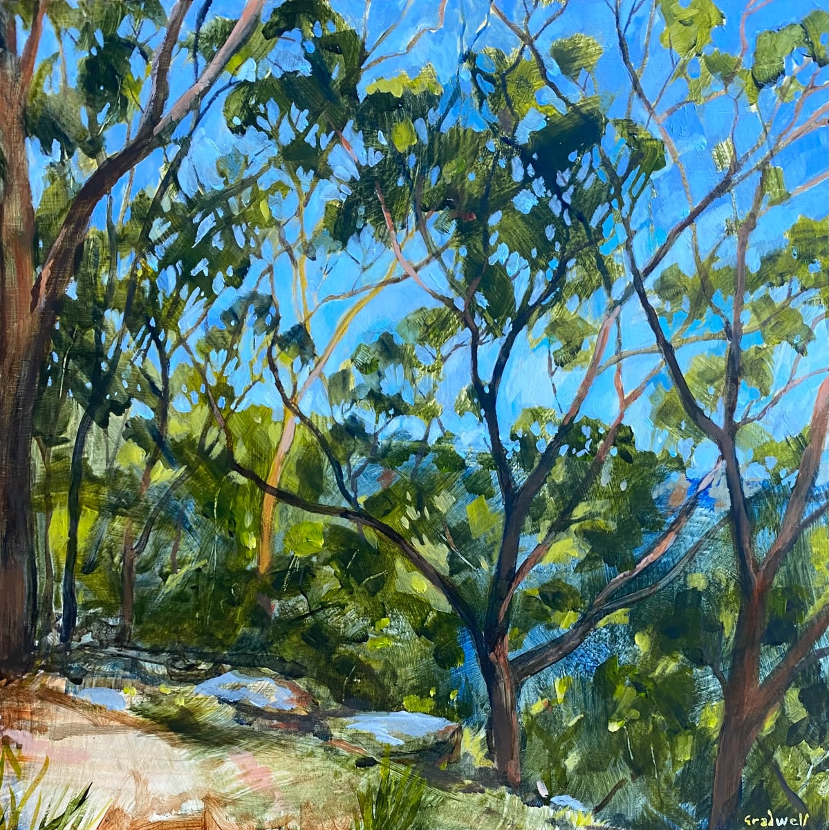 Killarney Bush Study II by Kate Gradwell 