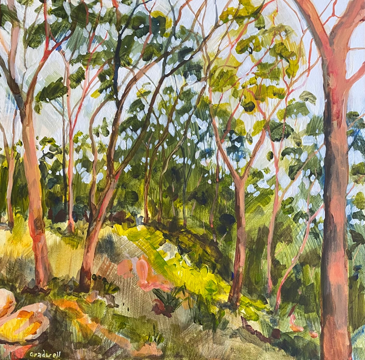 Killarney Bush Study II by Kate Gradwell 