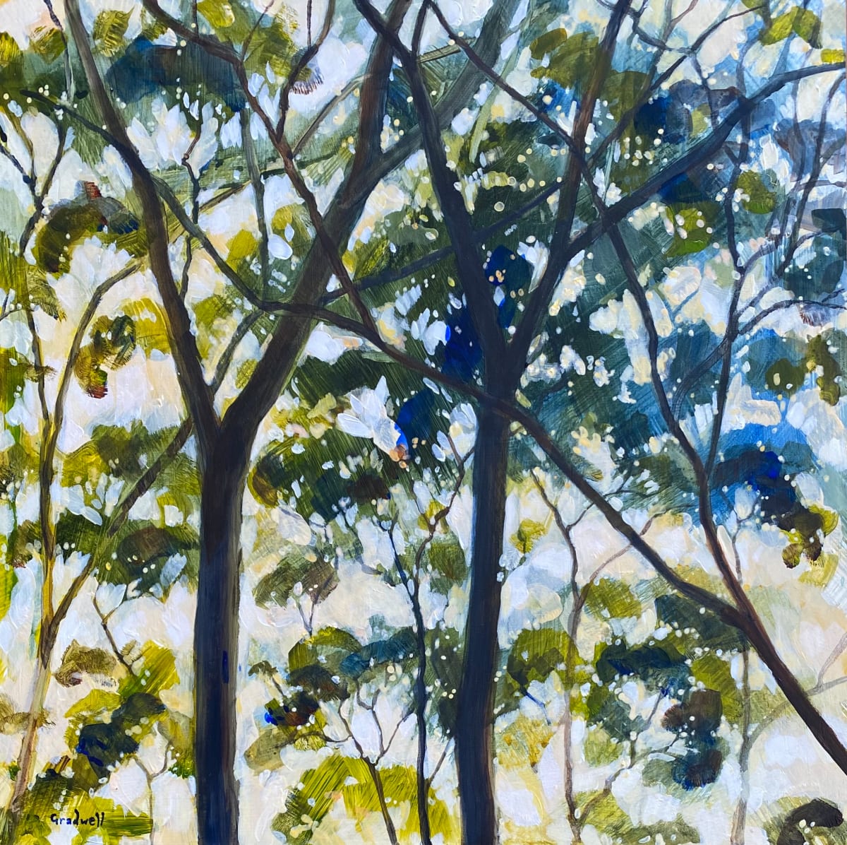 Evening Canopy II by Kate Gradwell  