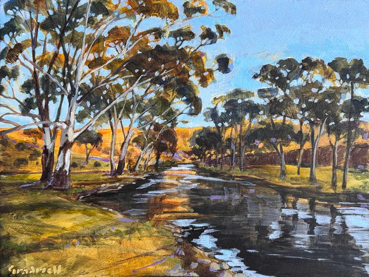 Afternoon by the Goobarragandra by Kate Gradwell 