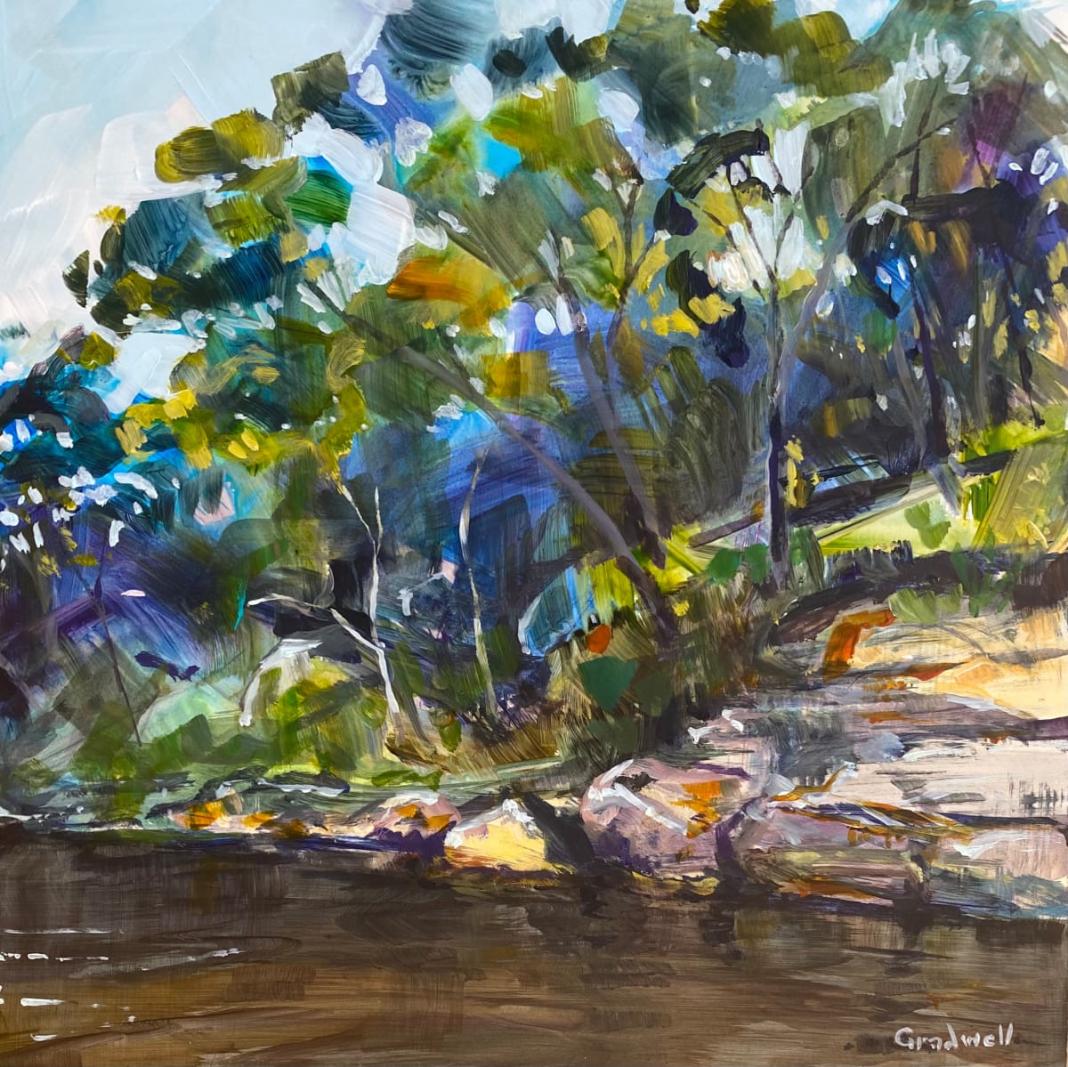 Sydney Shoreline by Kate Gradwell 