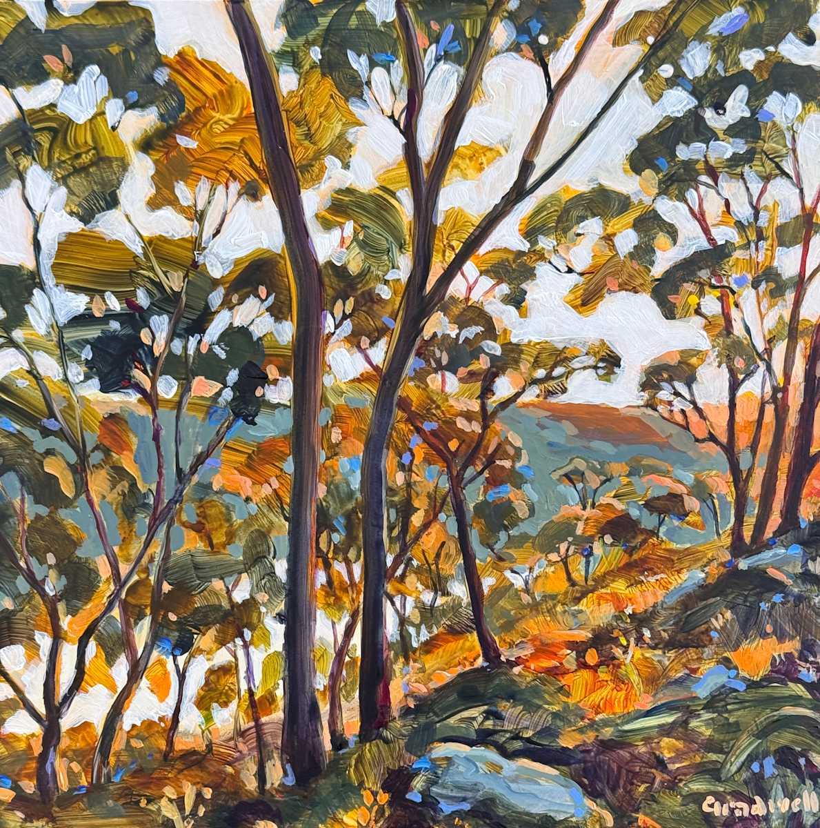 A Lightness in my Heart by Kate Gradwell 