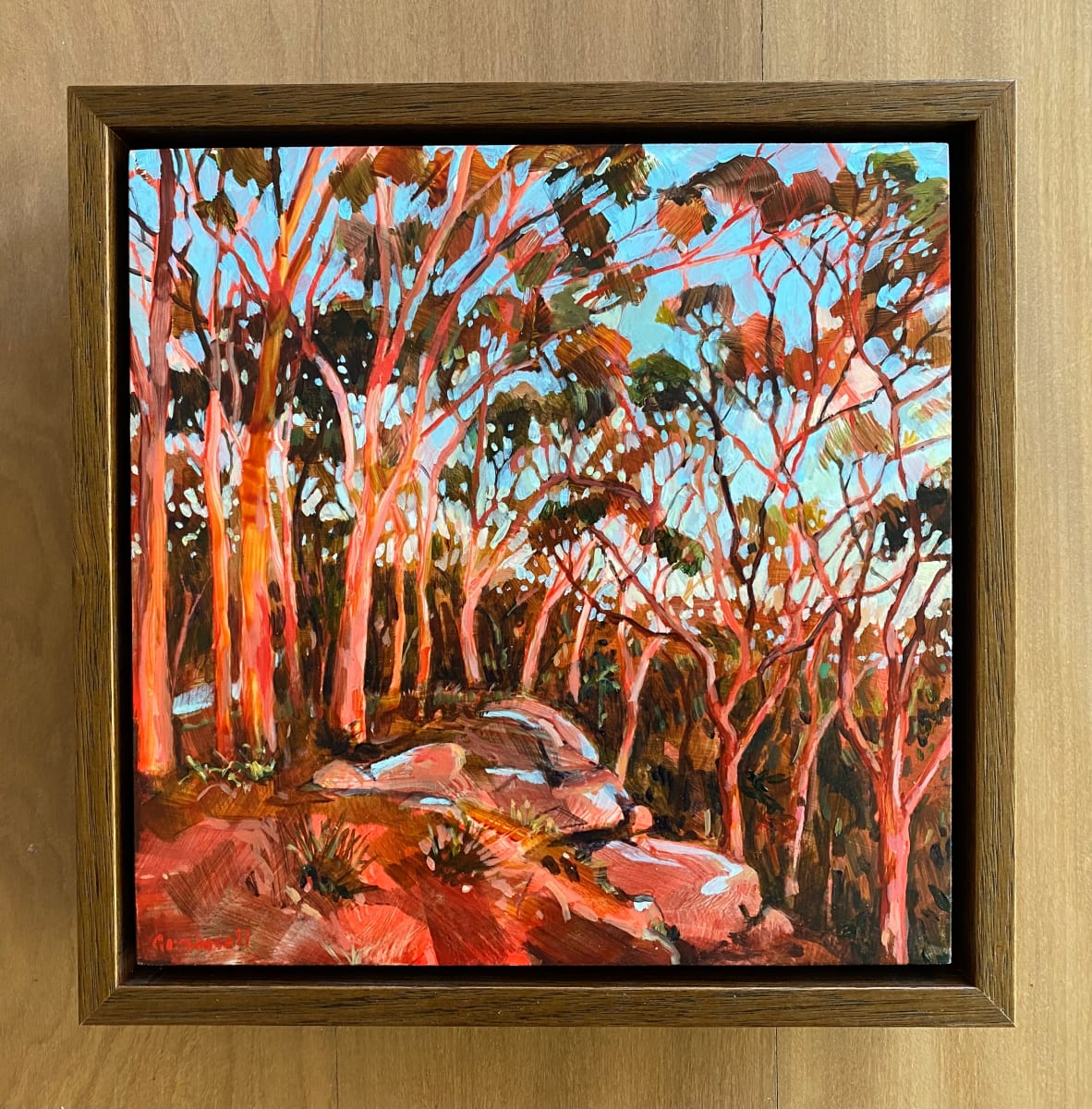 Angophora Glow by Kate Gradwell 