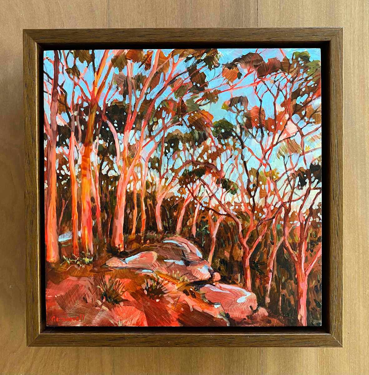 Angophora Glow by Kate Gradwell, Image 5.