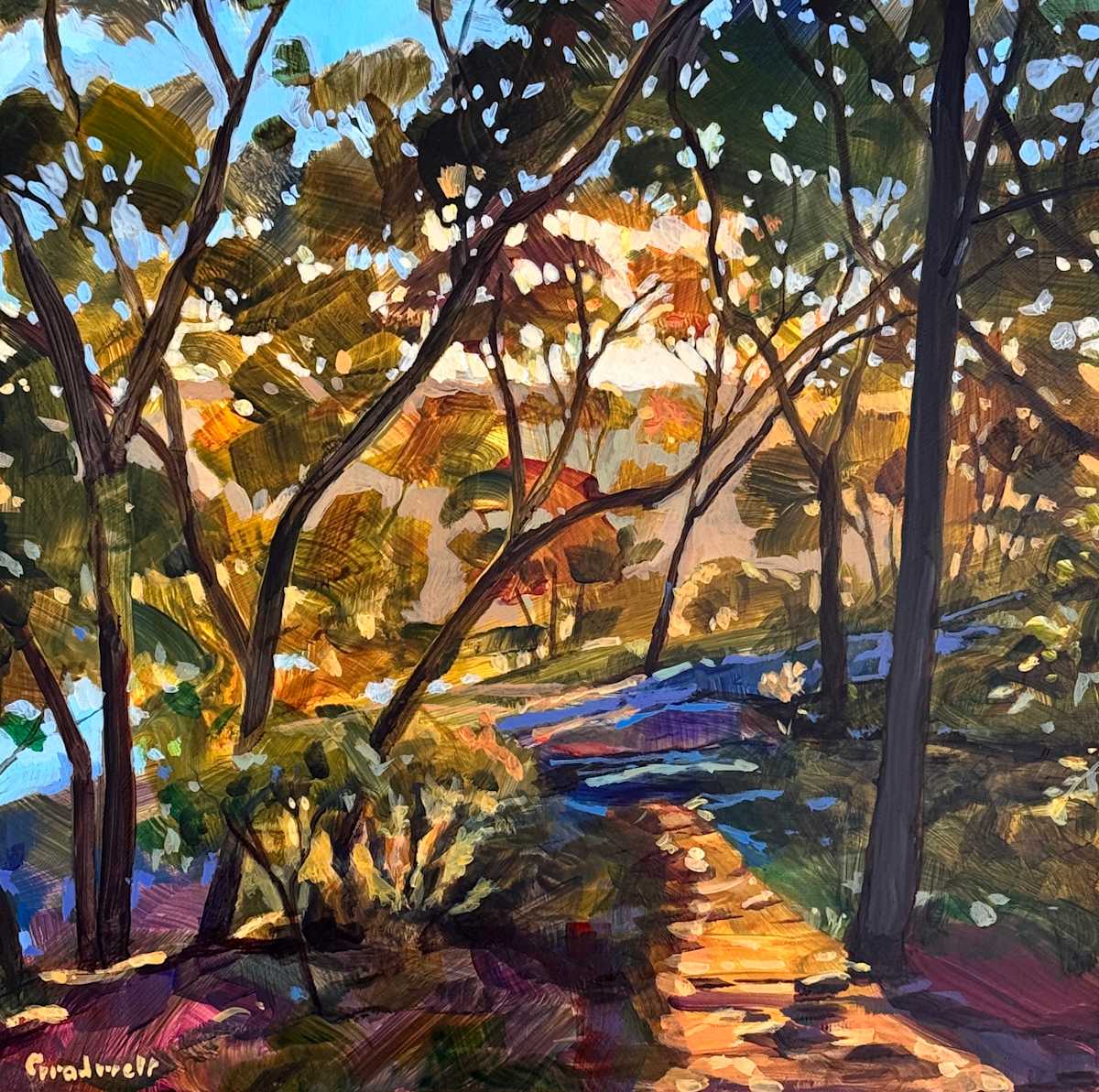 Down to the lookout by Kate Gradwell 