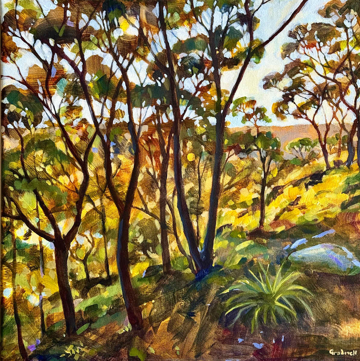 Evening Grace by Kate Gradwell 