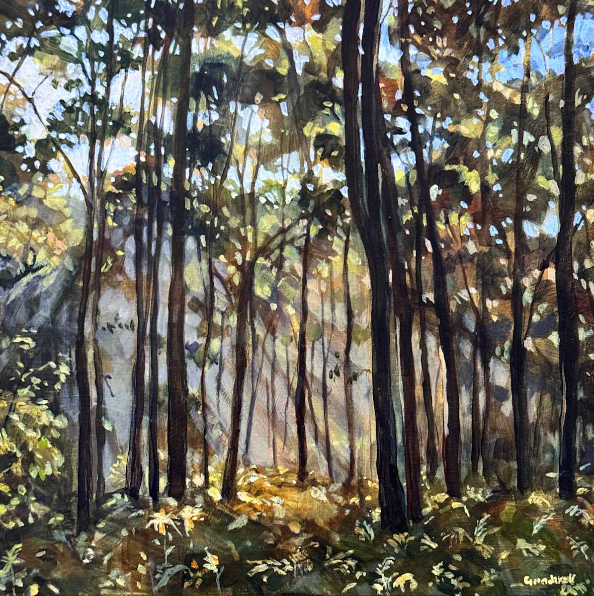 Forest Serenity by Kate Gradwell, Image 1.