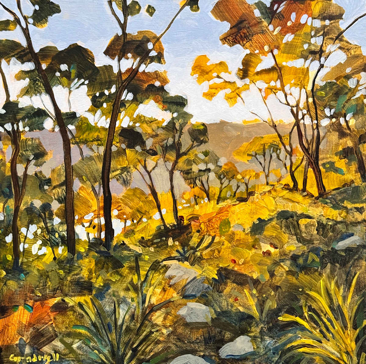 Daily Meditation by Kate Gradwell, Image 1.