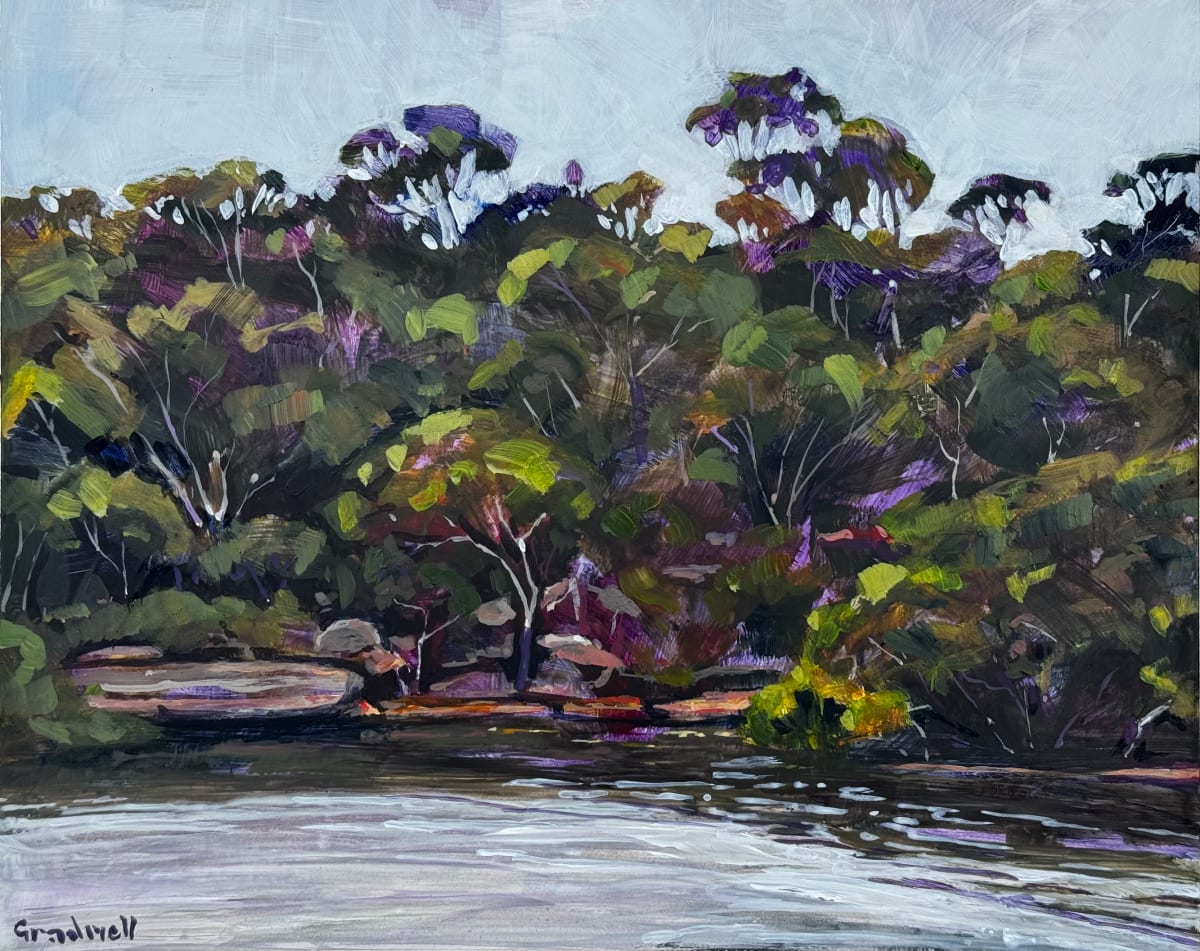 Saturday Morning by the Lane Cove River by Kate Gradwell 